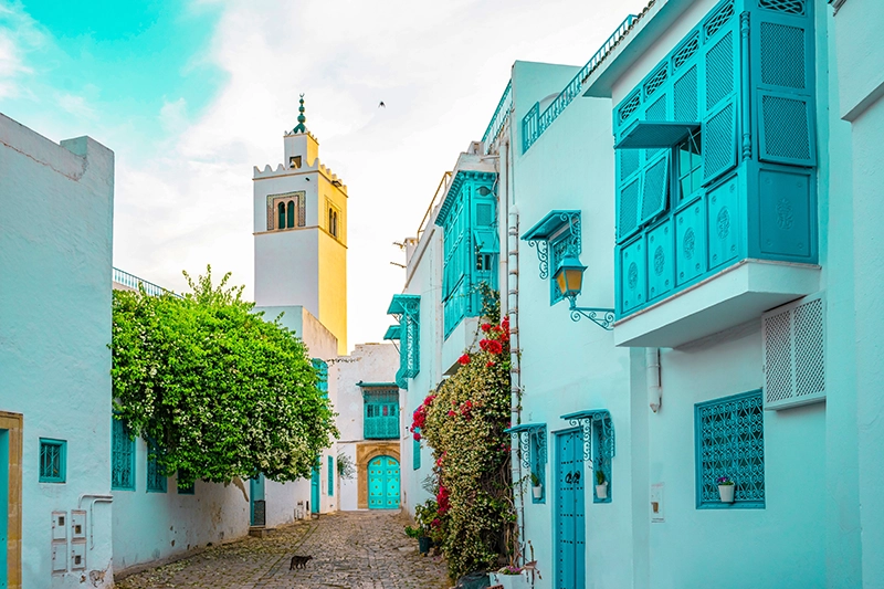 White-blue city of Sidi Bou Said, Tunisia.