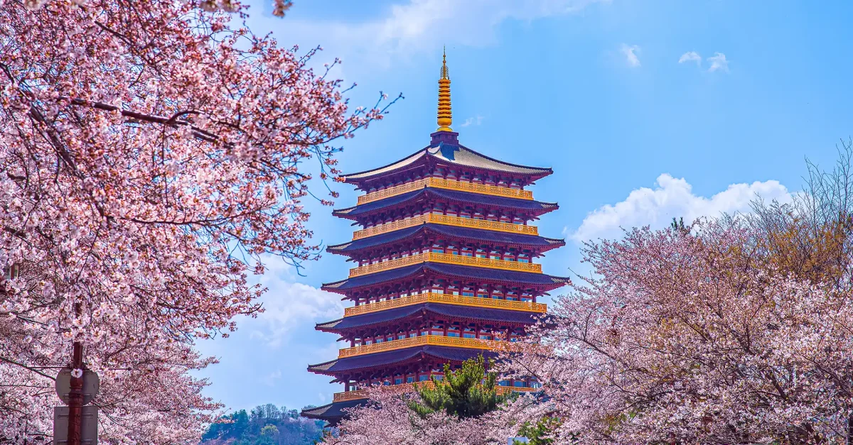 South Korea Grants Visa-Free